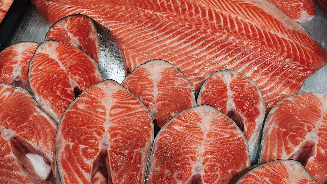 Pavés de saumon frais présentés sur glace
