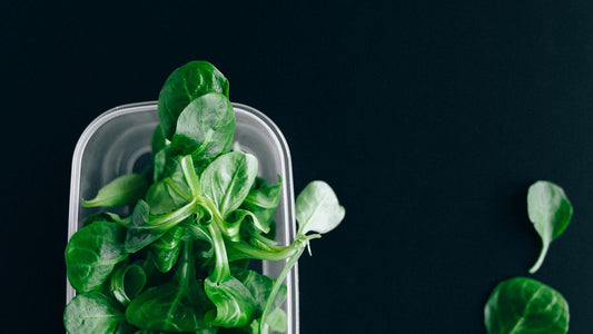 Légumes verts conservés dans une boîte hermétique