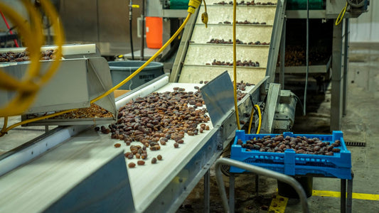 Convoyeur de tri dans une usine agroalimentaire