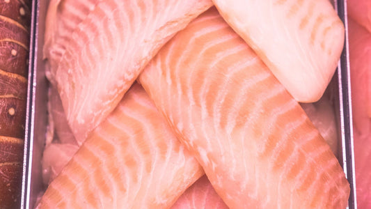 Filets de saumon crus disposés dans un plateau